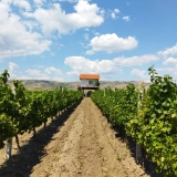 Македонска Винарија Киево