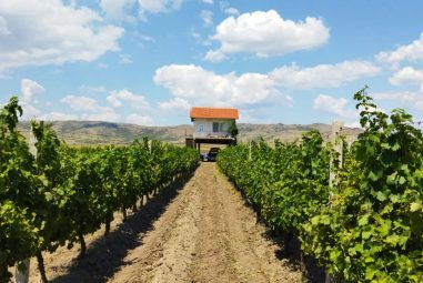 Македонска Винарија Киево